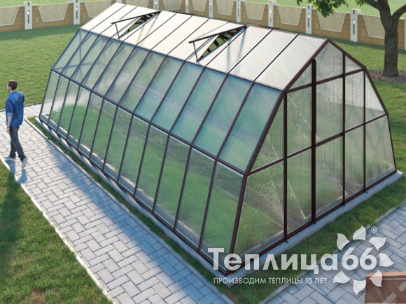 Теплица Рада Иткуль из поликарбоната, 4,5х8 метров, коричневая